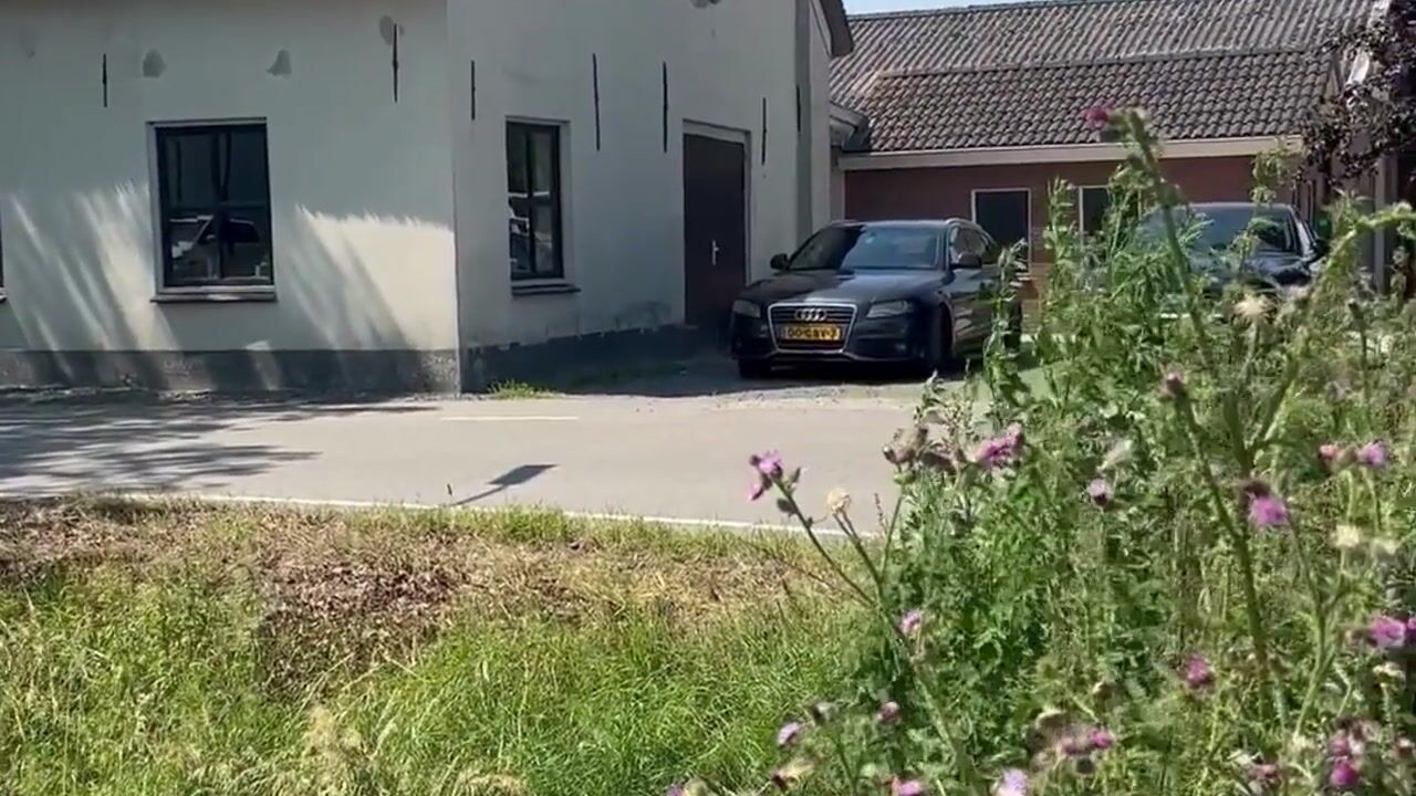 Video van Nijendijk 2