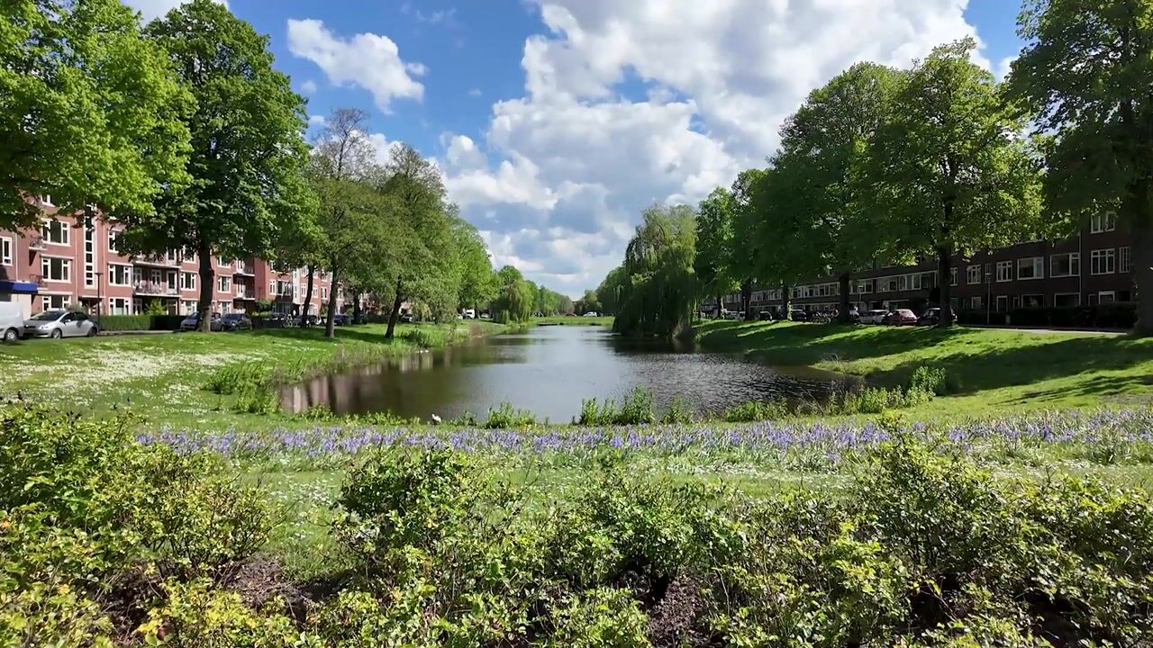 Video van E. Thomassen à Thuessinklaan 9
