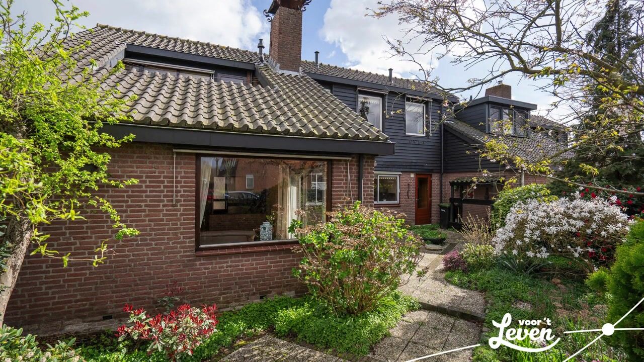 Video van Staartmolen 12