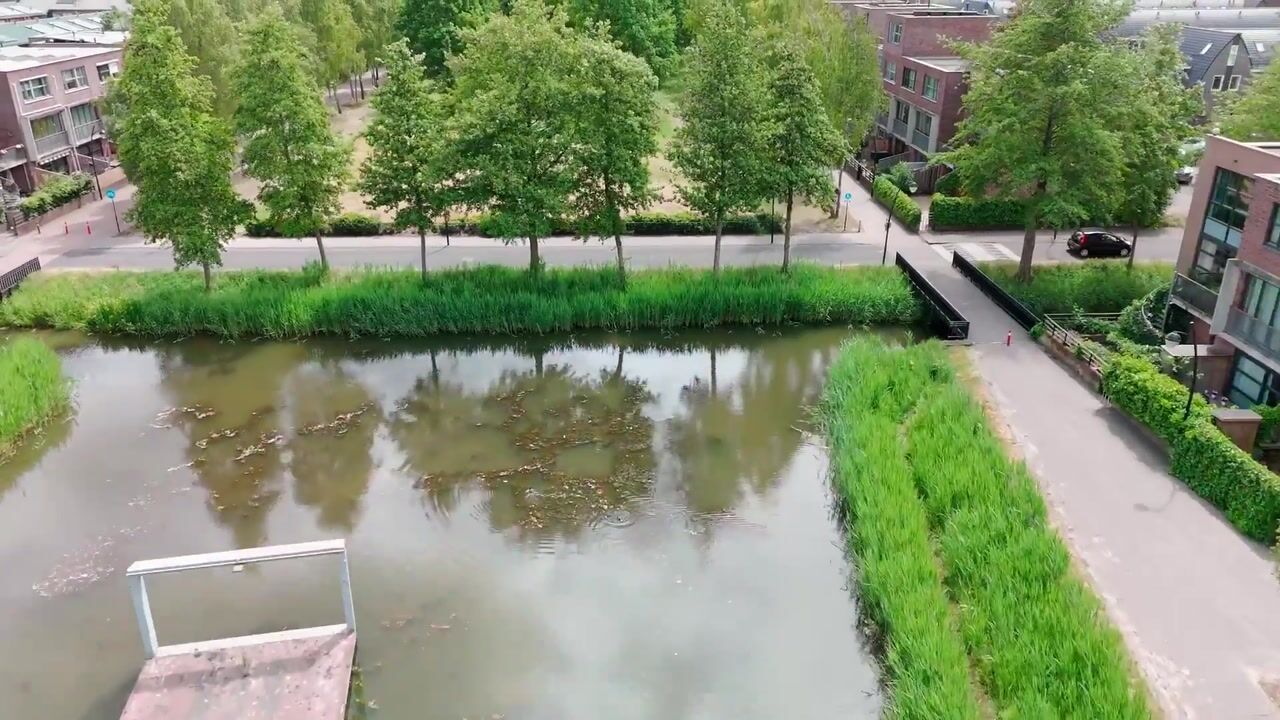 Video van Lemelerberg 34