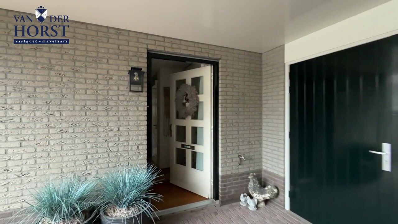 Video of Boterbloem 5