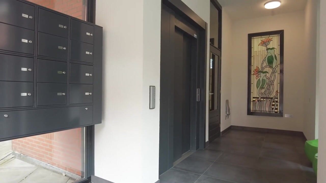 Video van Arendshof 389
