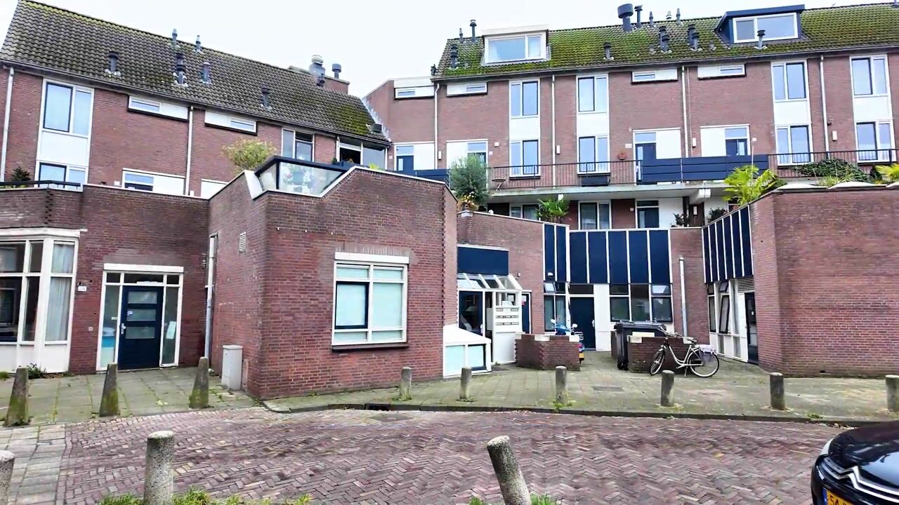 Video van King Olivereiland 15