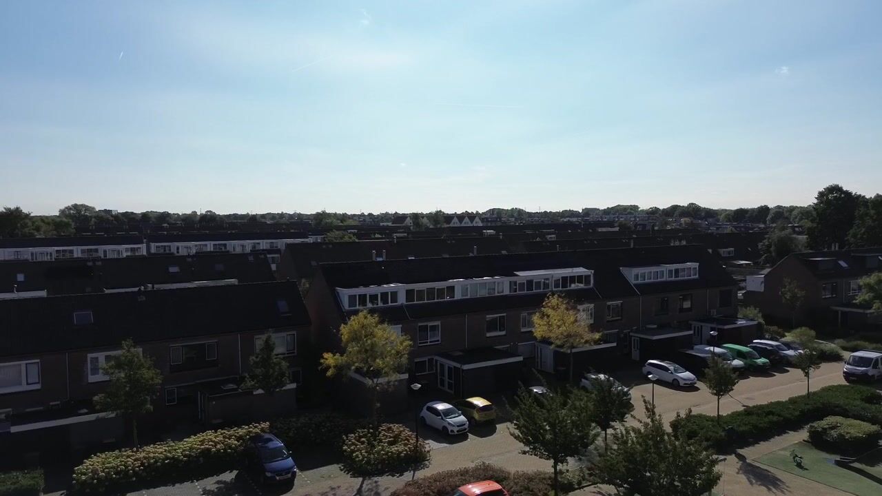 Video of Rijn 34