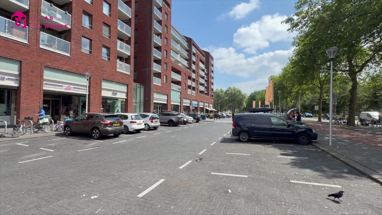 Video van Heemstedelaan 21