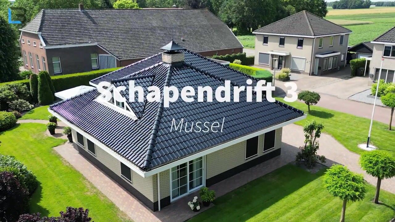 Video van Schapendrift 3