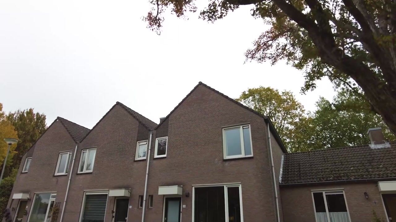 Video van Akelei 114