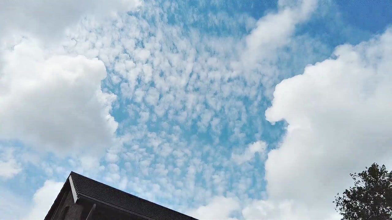 Video of Zwembaan 200