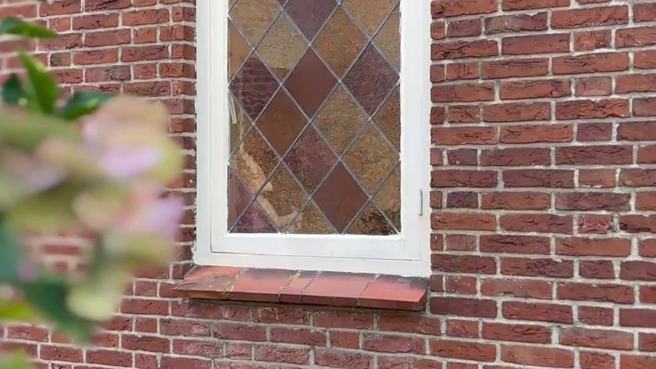 Video van De Wildtlaan 8