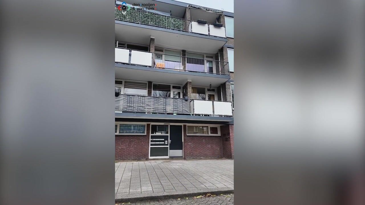 Video van Drijfhoutstraat 55