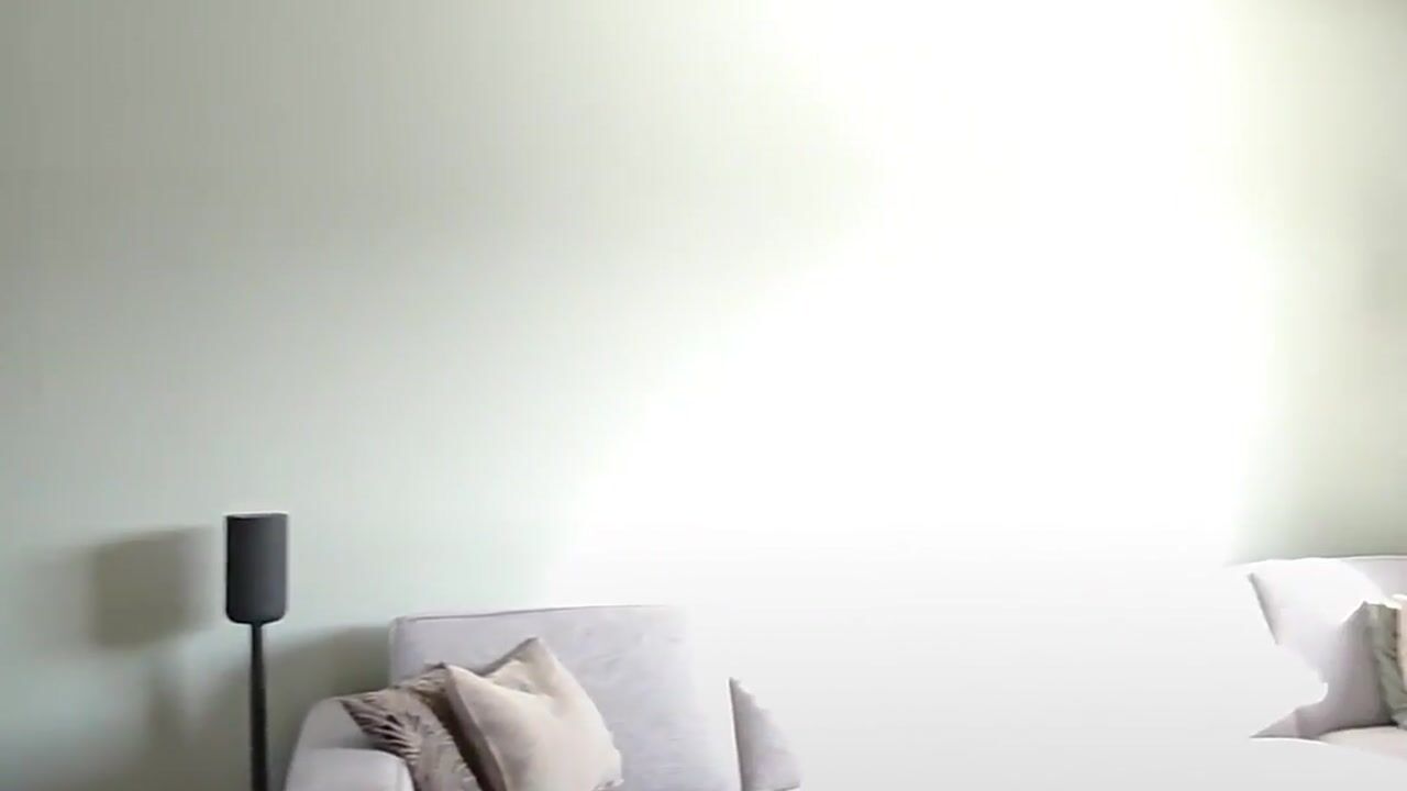 Video van Veldleeuwerik 17