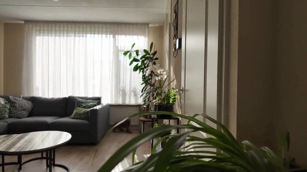 Video of Sterappel 29