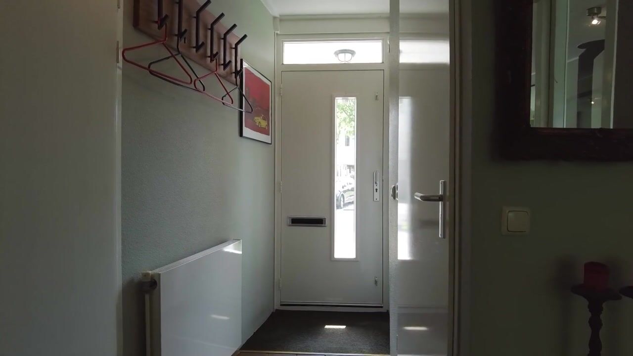 Video van IJsvogel 80
