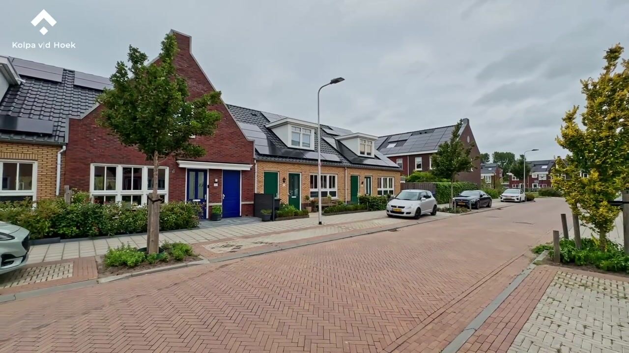 Video van Korenbloem 33