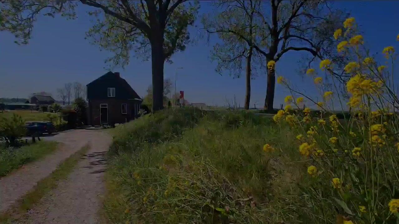 Video van Blaaksedijk 278
