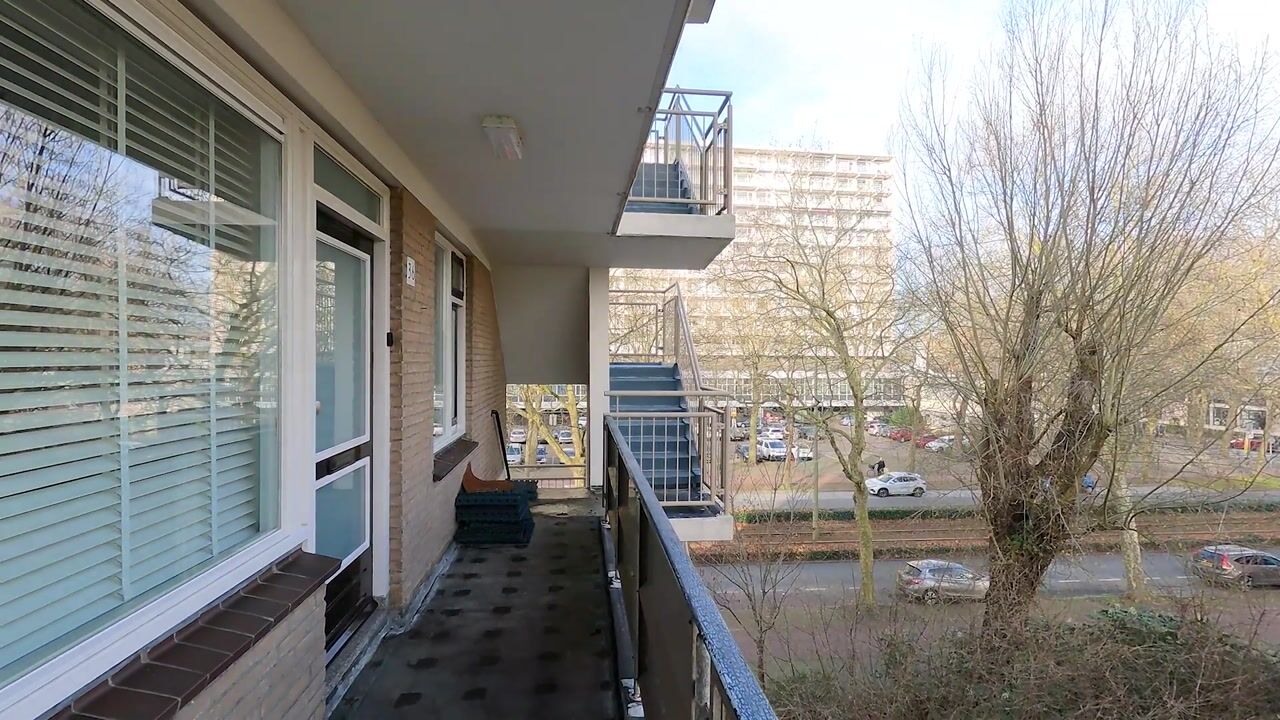 Video van Zwedenburg 36