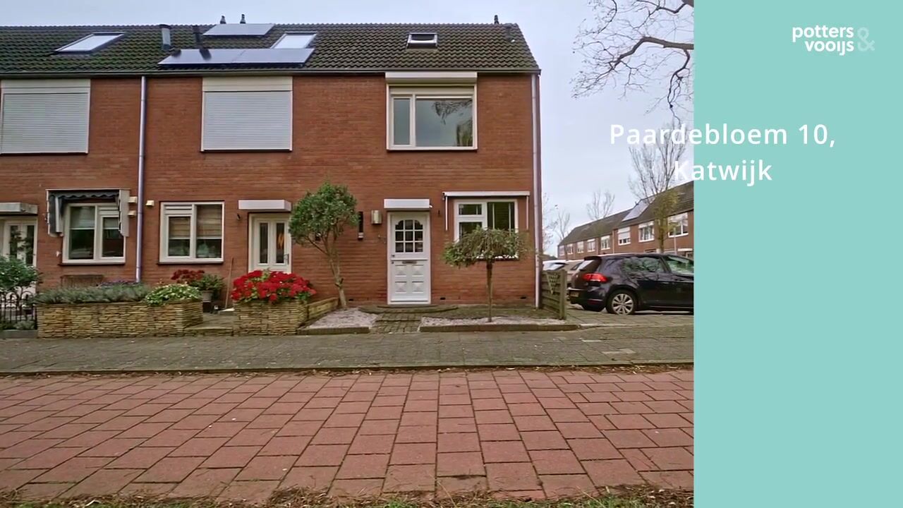 Video van Paardebloem 10