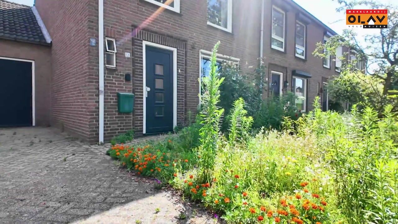 Video van Schaepmanlaan 12