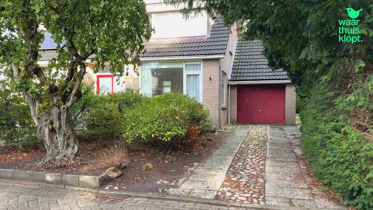 Video van Schapendrift 73