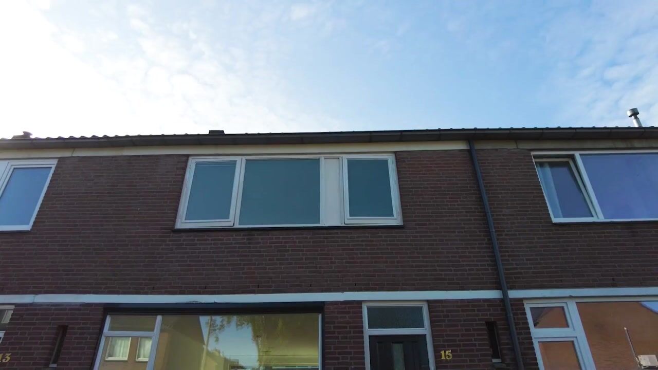 Video van Triangelstraat 15