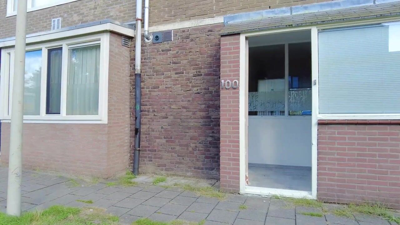 View video of Linnaeusstraat 100