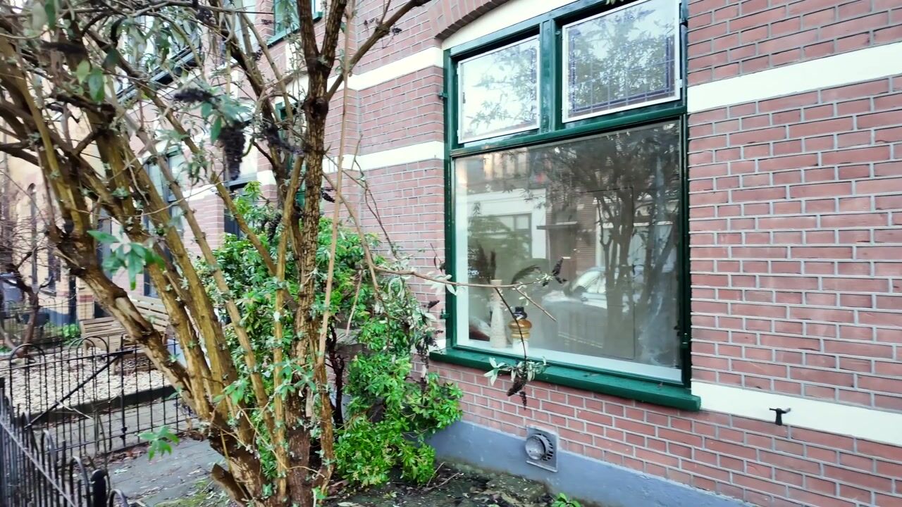 Video van Violenstraat 110