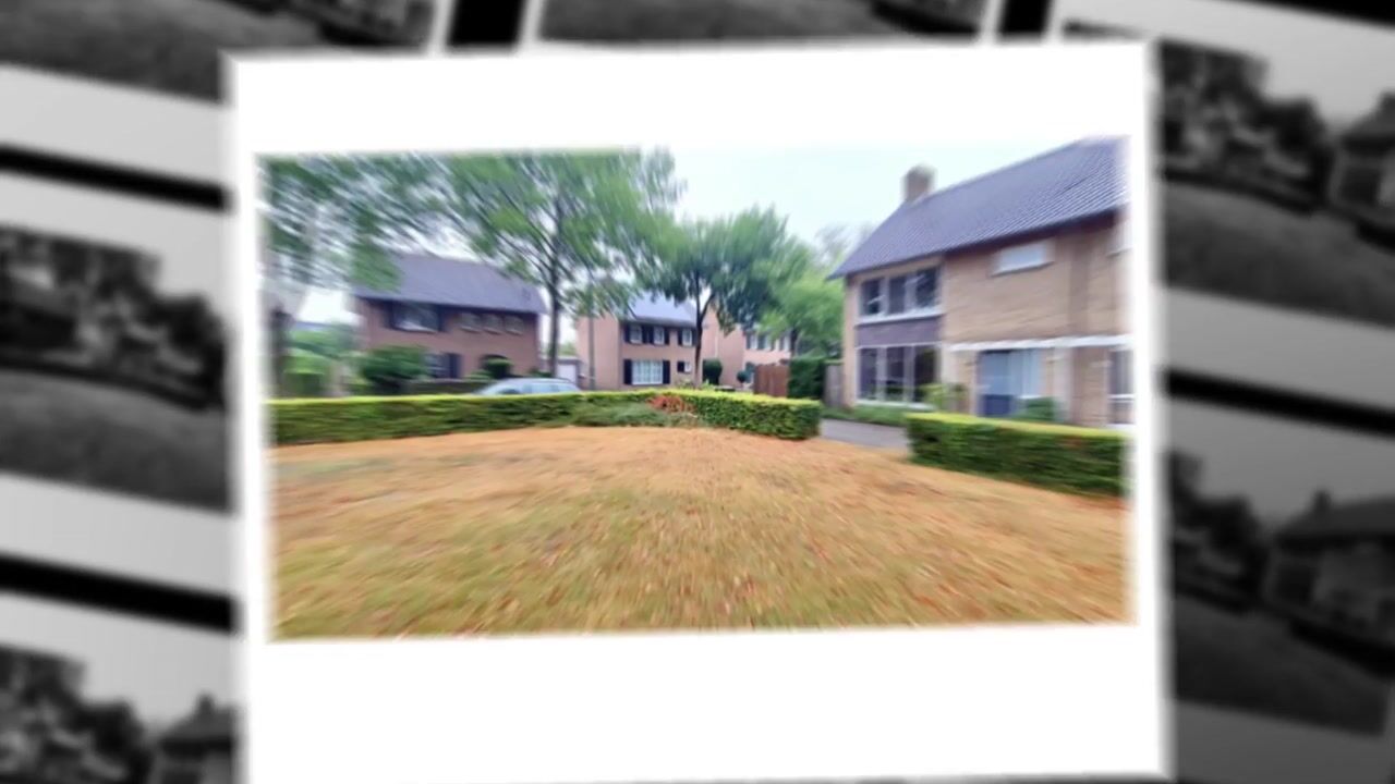Video van Dijkmanstraat 40