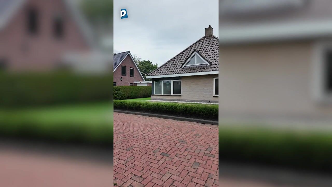 Video van Wylp 19