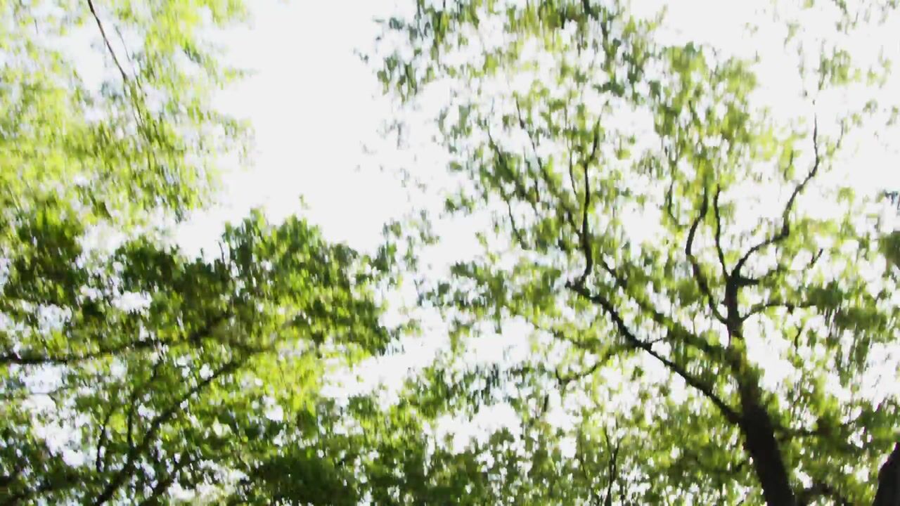 Video of Bieruma Oostingweg 23-A