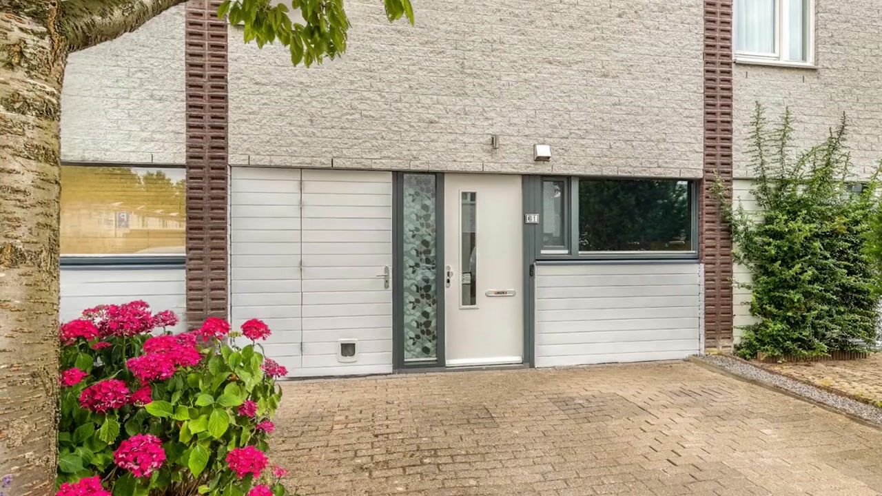Video van Noorddijk 61