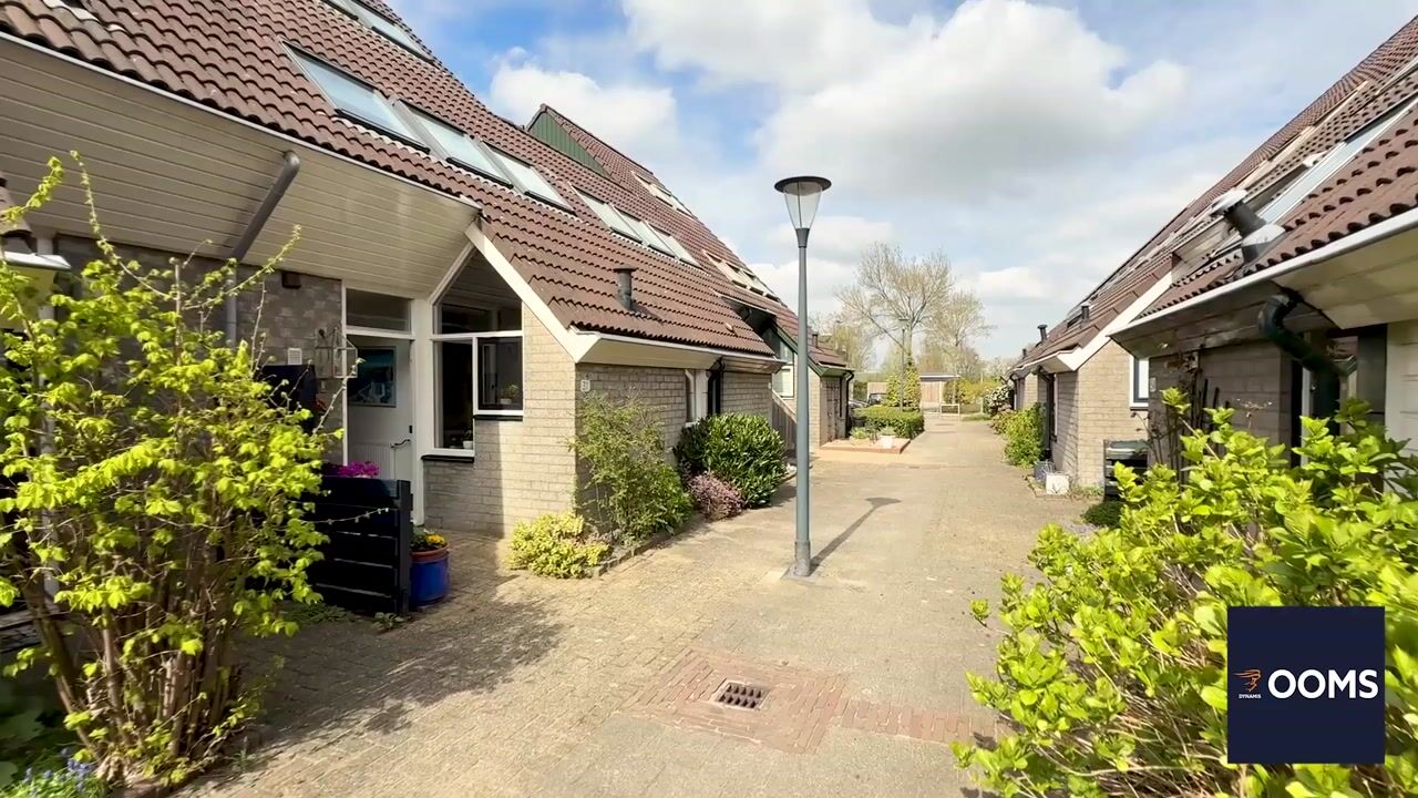 Video of Strienemonde 31