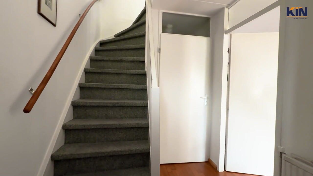 Video van Regenwulp 13