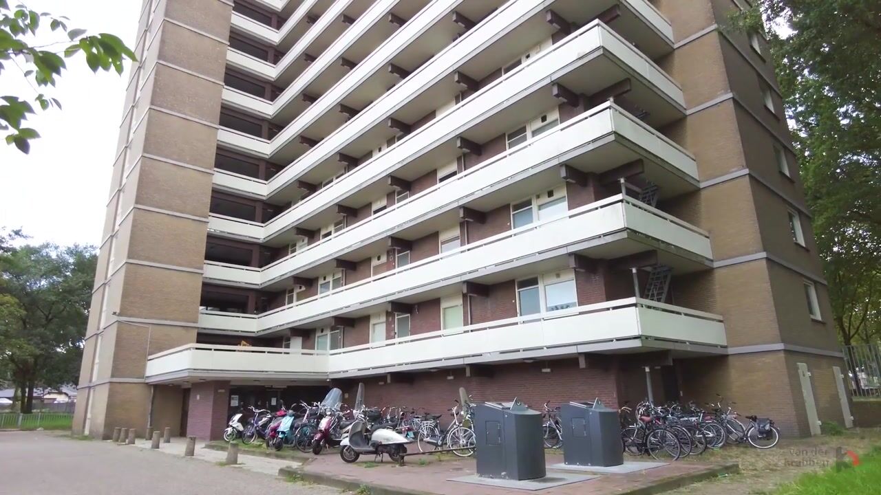 Video van Lisztgaarde 40