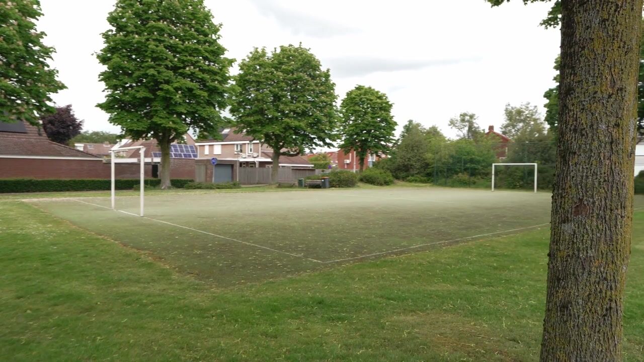 Video of Hoefblad 56