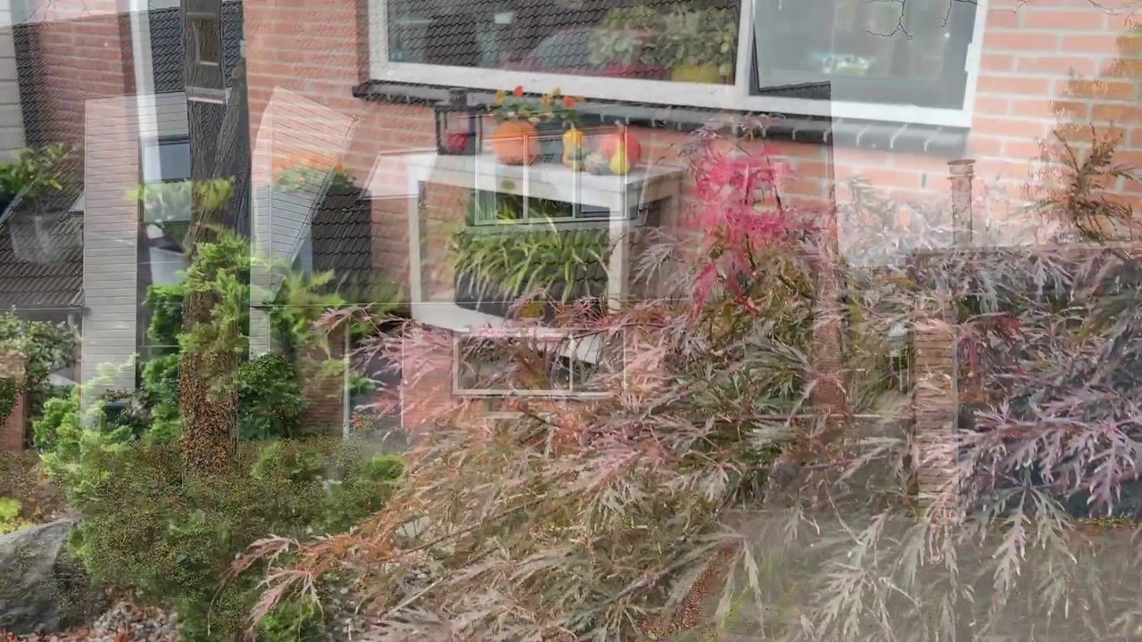 Video van Ruwbeemd 11