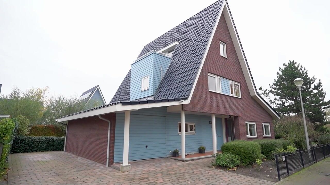 Video of Stippelzegge 3