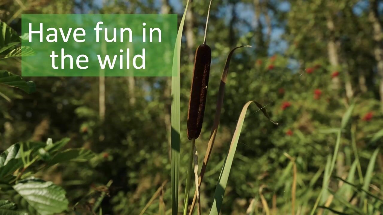 Video van Hopbellen 7