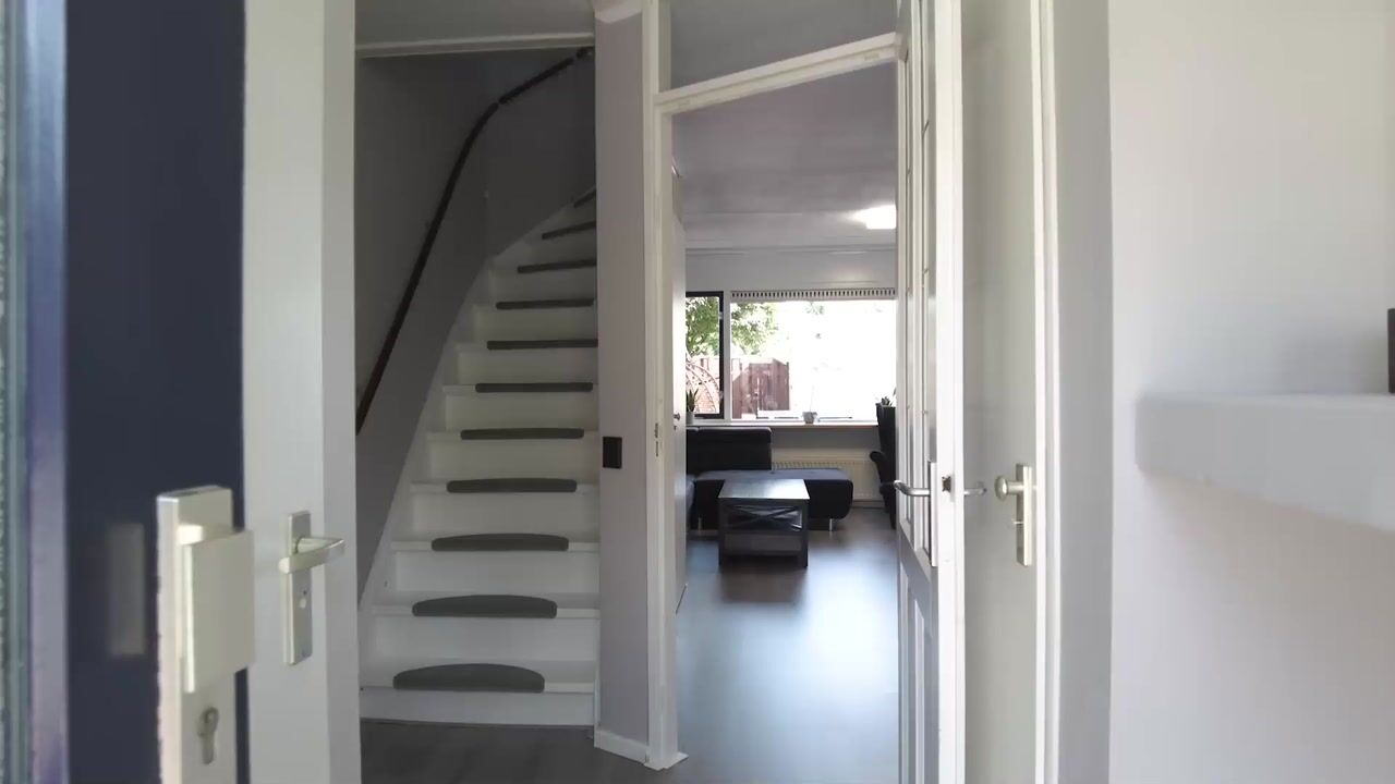 Video of Donkerbos 6