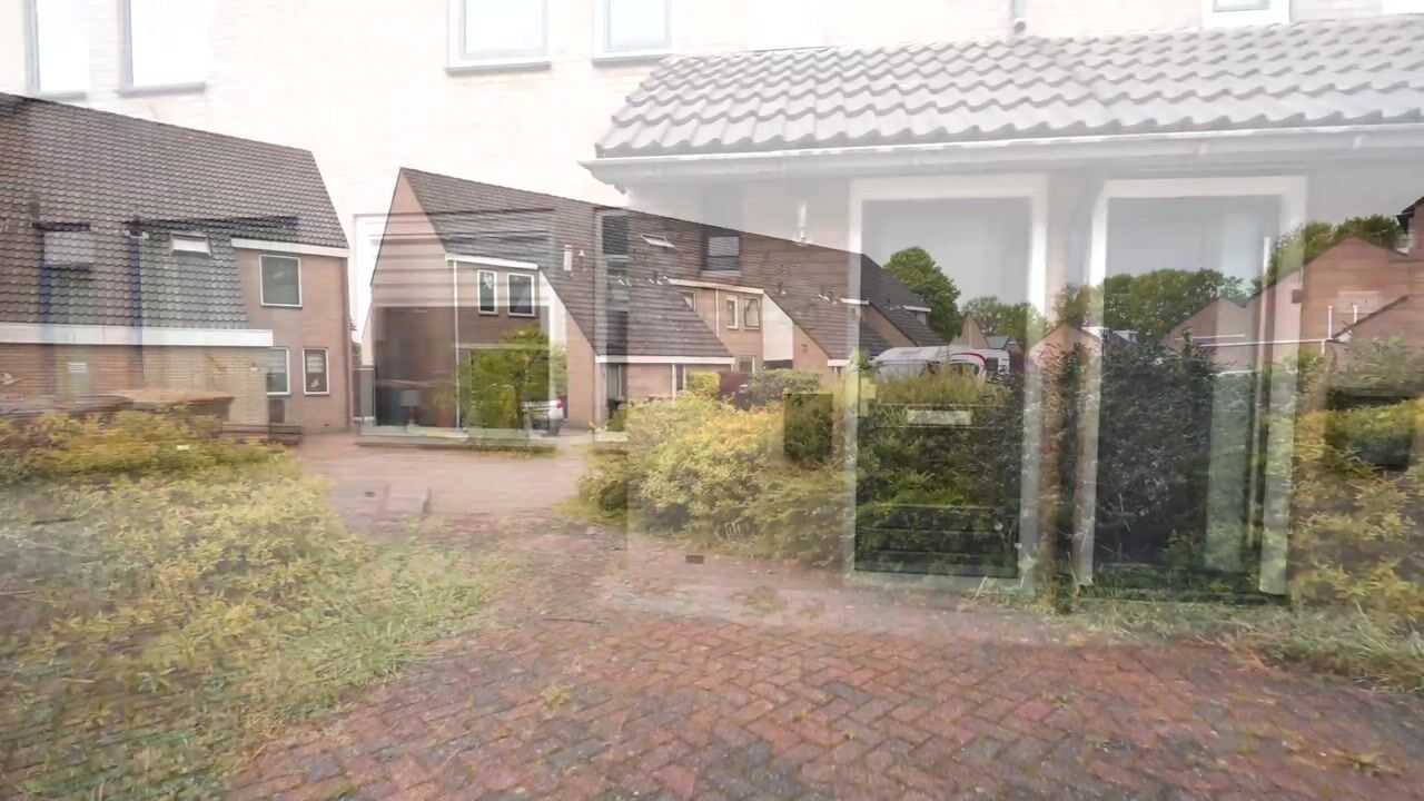 Video van Polberg 40