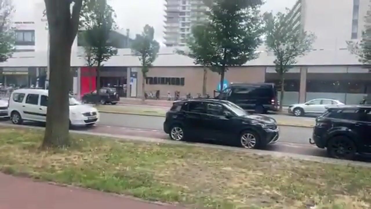 Video van Groen van Prinstererlaan 21