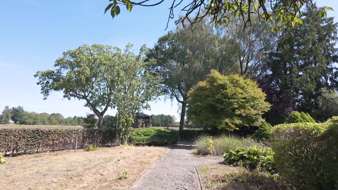 Video van Knoevenoordstraat 83