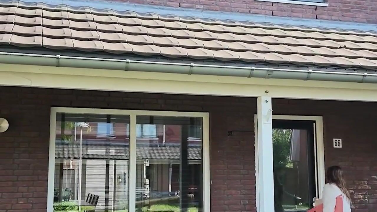 Video van Doyennéperenlaan 66