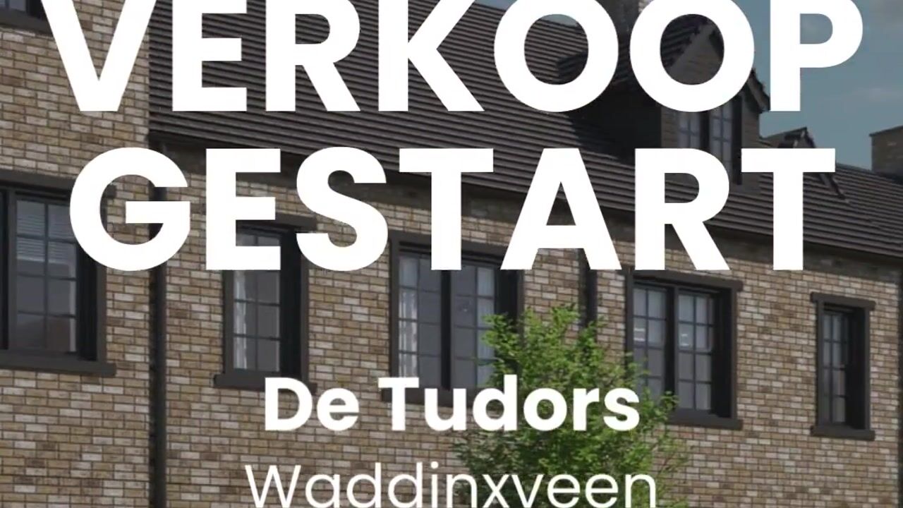 View video of De Tudors