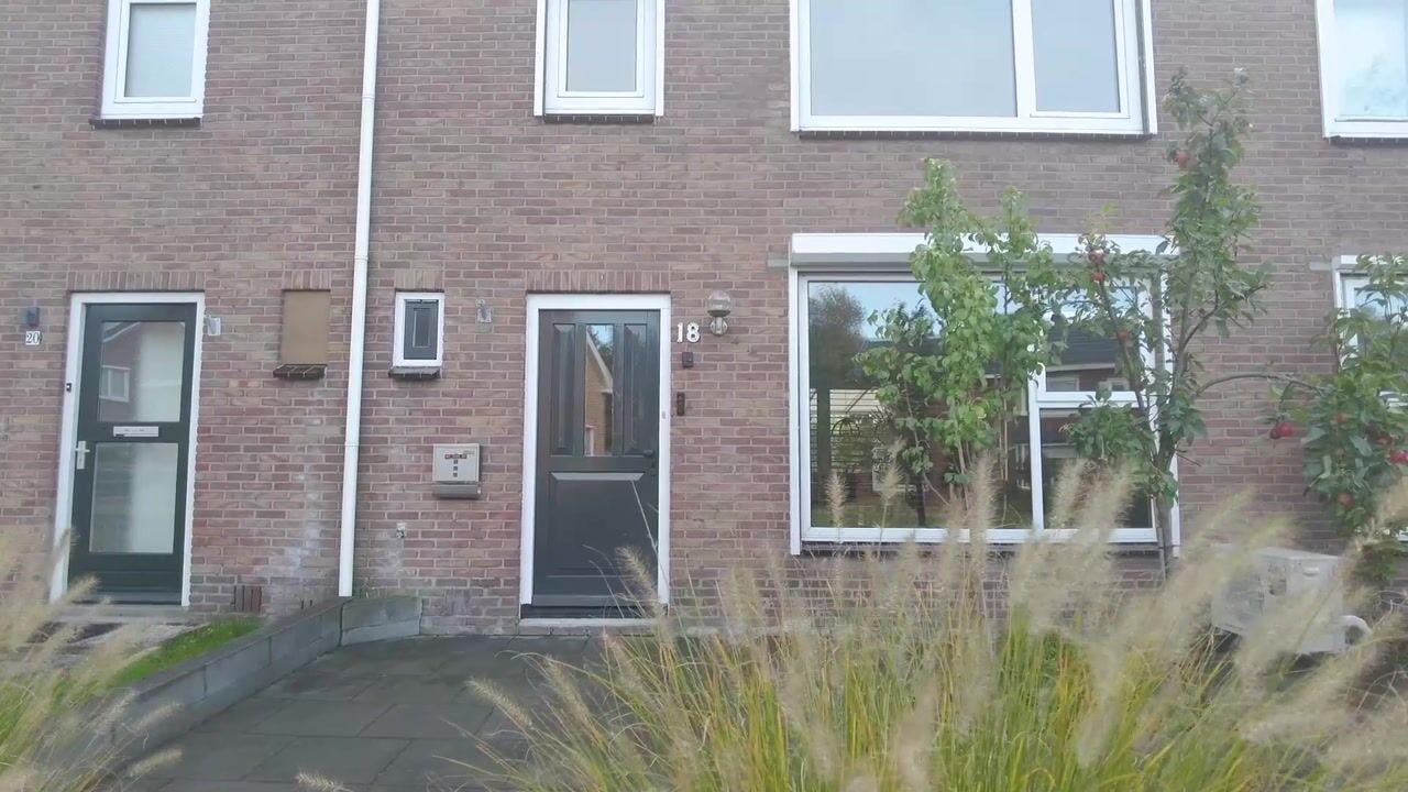 Bekijk video van Heemstrastraat 18