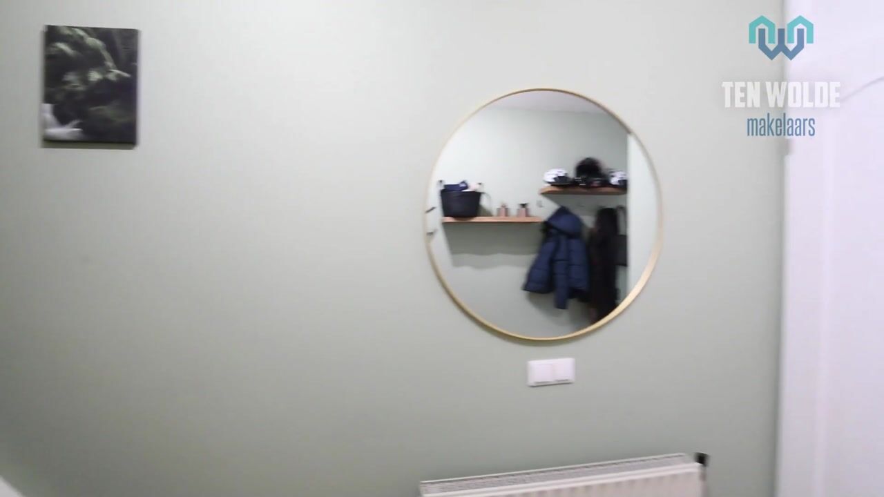 Video of Ruinerbrink 153