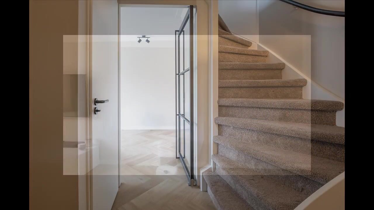 Video van Kleefkruid 11