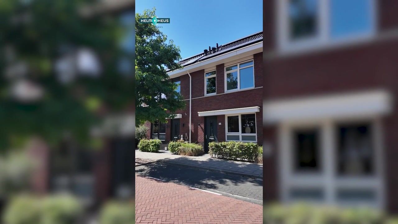 Video van Citroenvlinder 32