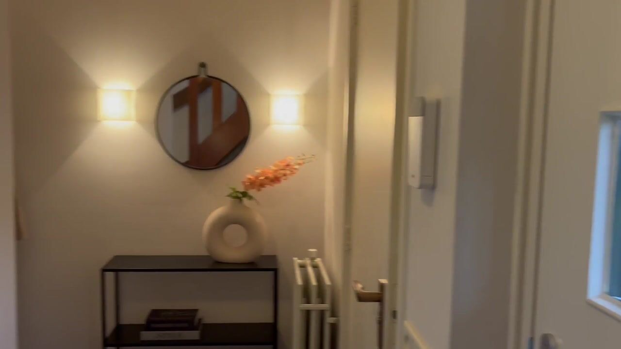 Video of Besselaar 4