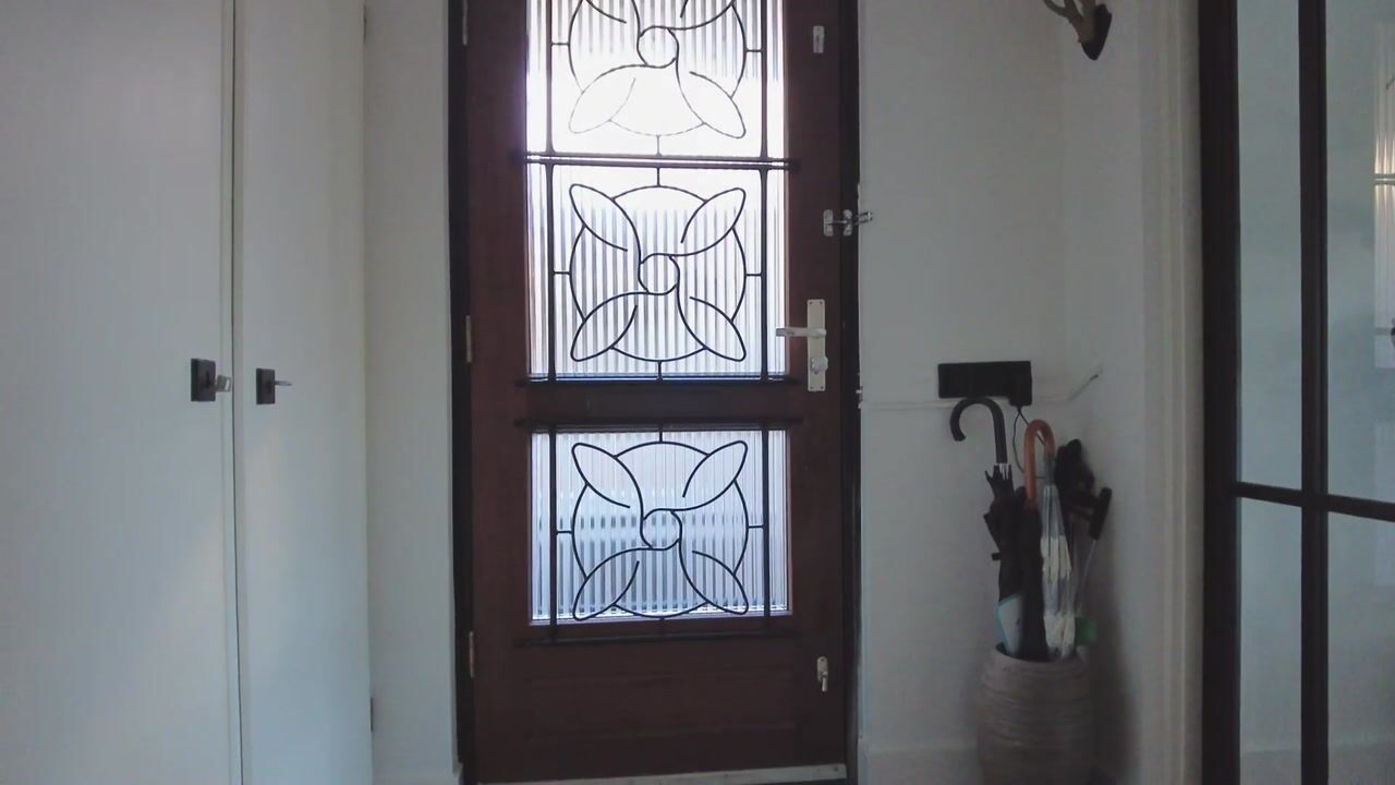 Video of Troelstraplein 8