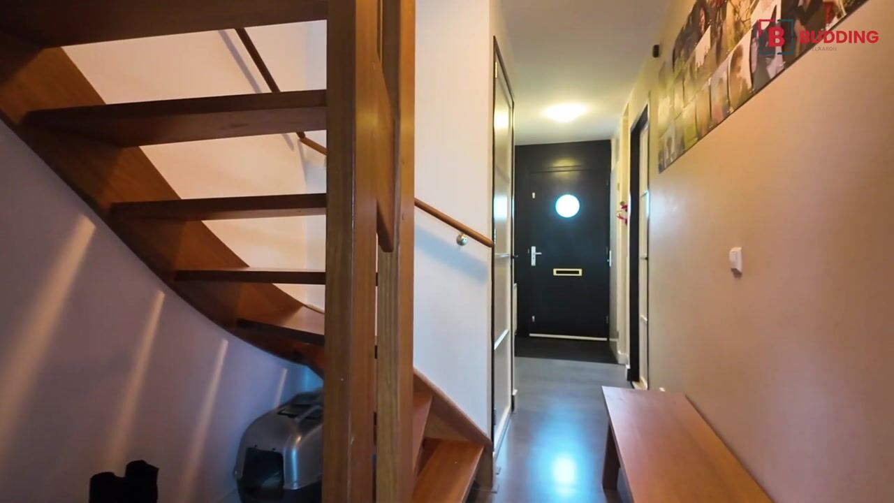 Video of Zonnedauw 198